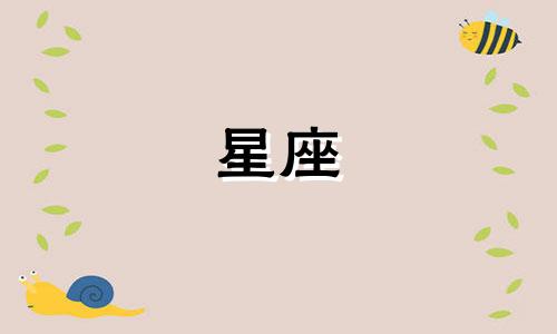 十二星座能吃多少只烤鸭