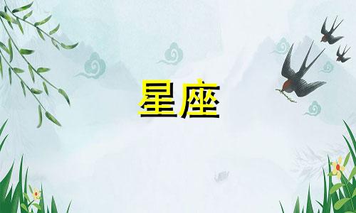 十二星座能吃多少块巧克力