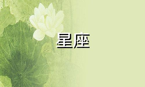 十二星座小手办多少钱