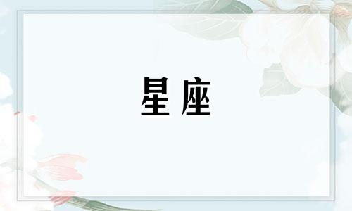 十二星座彩色皮筋多少钱