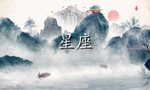 12星座的独家密码是多少