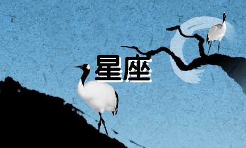 十二星座的床有多少种类