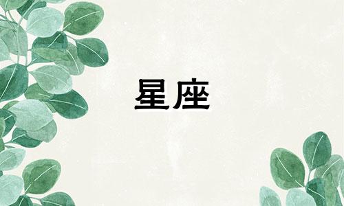 盘点12星座的成绩是多少