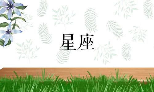 你的星座指数是多少啊