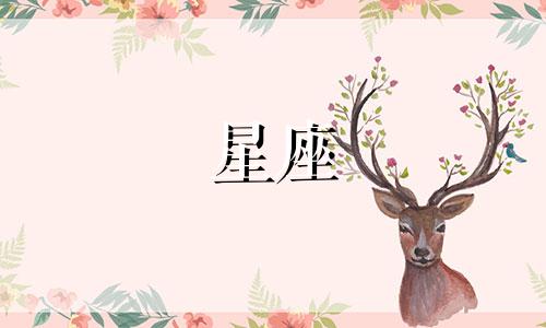 十二星座仙女戒指多少钱