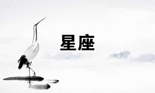 12星座成功表白率是多少