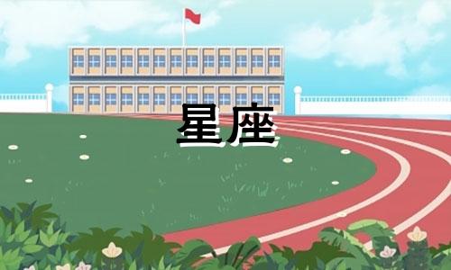 所有星座宠老婆指数是多少