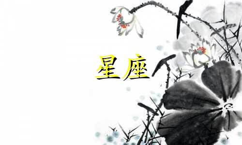 12星座的桃花指数是多少