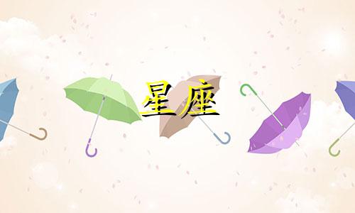 12星座的功夫指数是多少