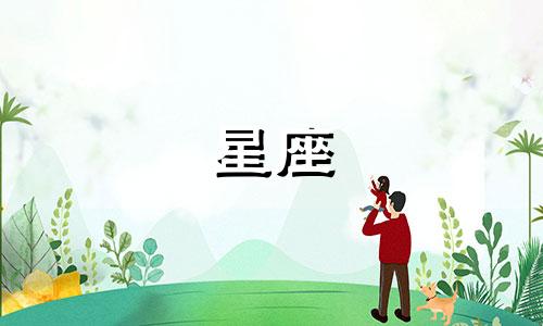 十二星座魔法棒多少钱