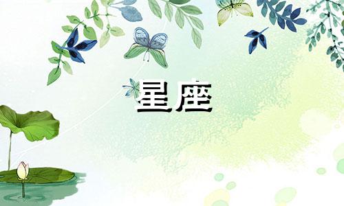 你信吗十二星座评分多少