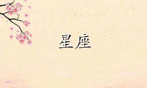 十二星座组装套装多少钱
