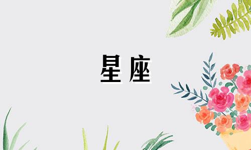 星座分阳历和农历多少天