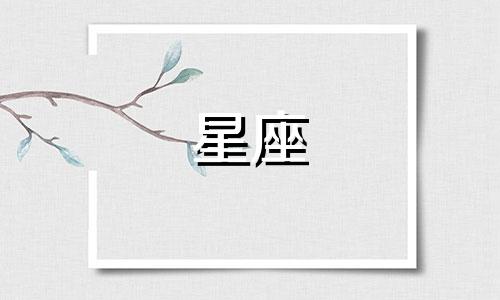 十二星座有多少种好运符号
