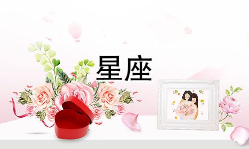 十二星座班里有多少男人