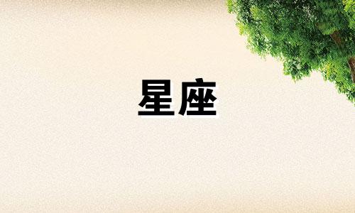 12星座的手链手镯多少克