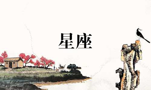 12个星座专属密码是多少