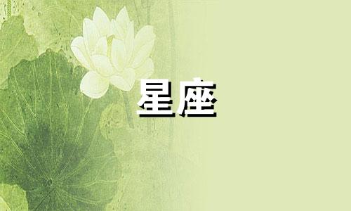 十二星座今年桃花多少度