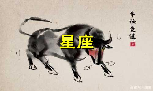 十二星座梦幻手环多少钱
