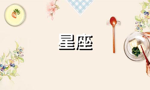 星座分别有多少颗星星组成