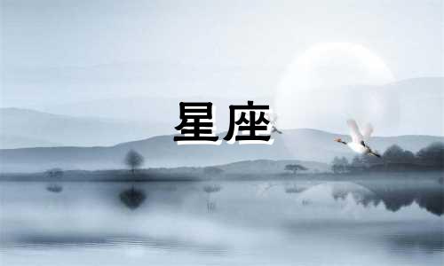宇宙之门有多少个星座