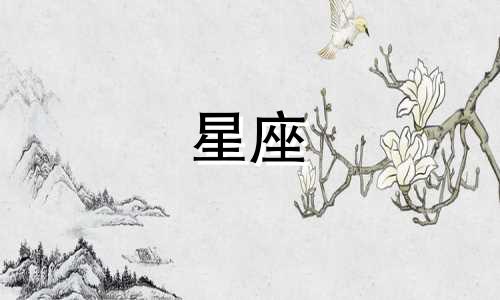 12星座的校花指数有多少