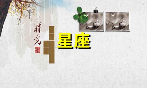 12星座暗恋的女人有多少