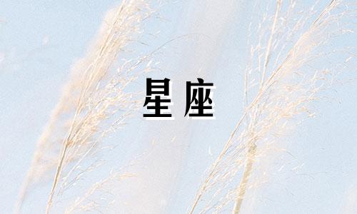 不同星座最高能考多少分
