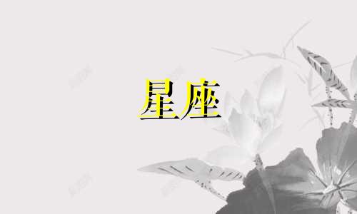 十二星座专属礼物多少钱