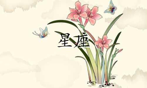 12星座的准确体重是多少