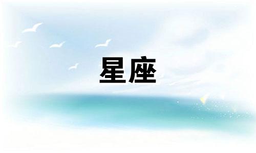 十二星座吃多少火鸡面合适