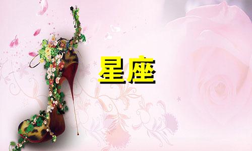 12星座冰公主发型多少钱