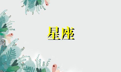 星座拼接女生版多少钱