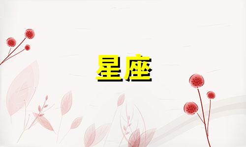 十二星座的毛绒耳环多少钱