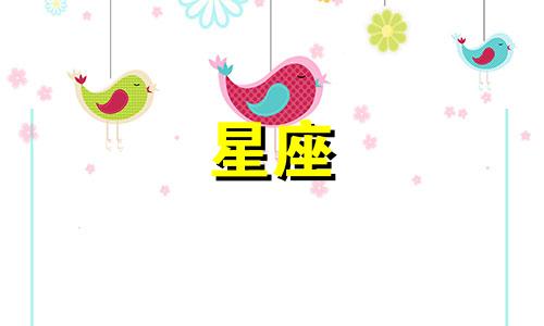 12星座仙女公主裙多少钱