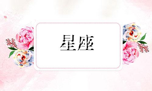 12星座儿童小礼服多少钱