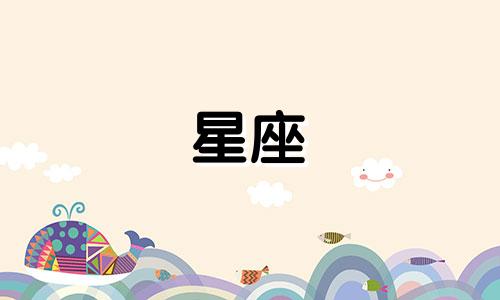 十二星座的小白鞋多少钱