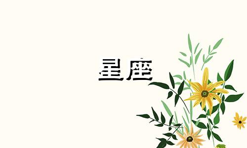 十二星座谁的颜值多少分