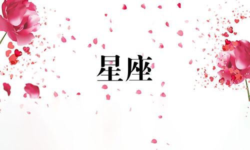 12星座目前被多少人暗恋