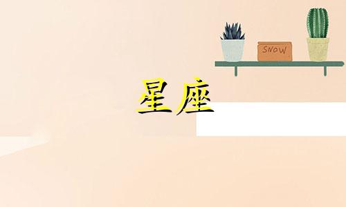 金牛星座的校服裙子多少钱