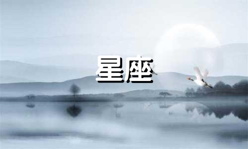 十二星座的洗碗盆多少钱