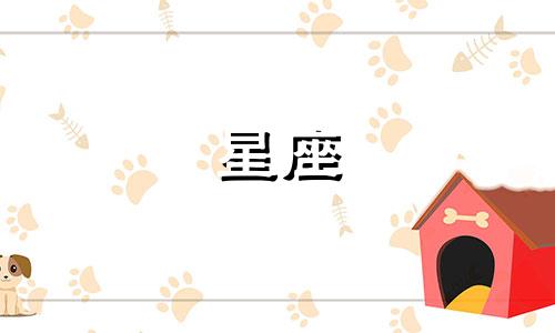 12星座的小孩鞋子多少钱
