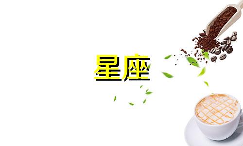 有多少星座是魔法师的