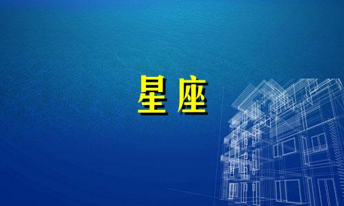 在哪里查看一共有多少星座