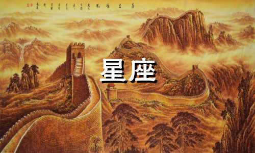 12星座的男孩礼服多少钱