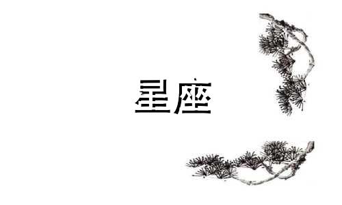 十二星座的武魂是多少岁