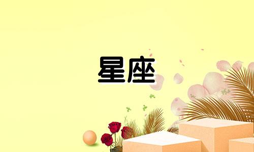 十二星座的游泳裙多少钱