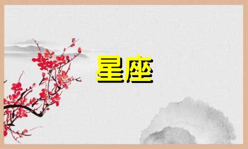 沈阳中环星座产权多少年