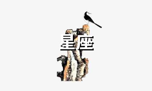 陶白白说星座值多少钱