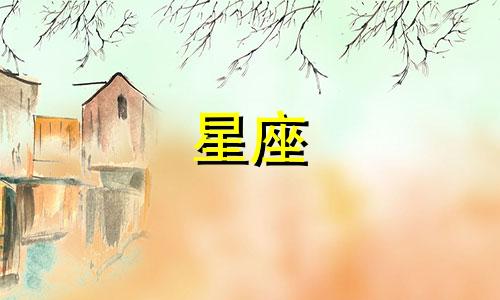 十二星座背的书包多少钱